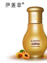 ���� ȫ�� ���w