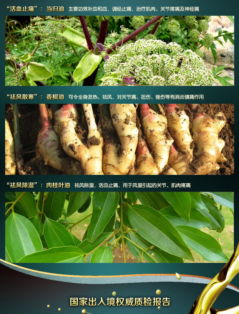  ��j��Ħ����Ԕ��2_02